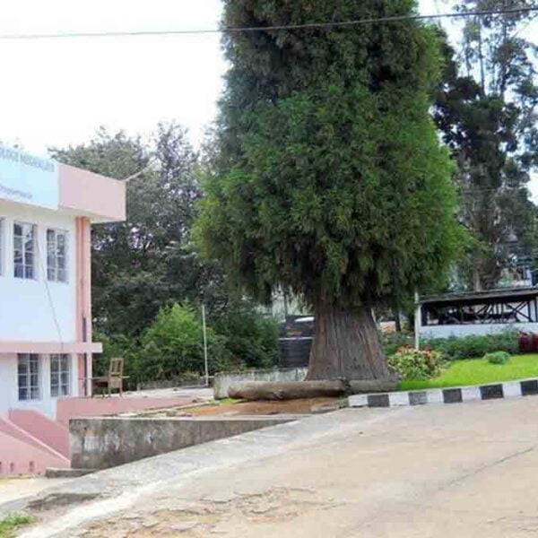 National Institute of Technology Meghalaya