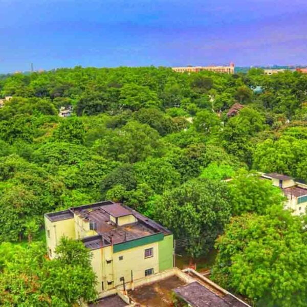 National Institute of Technology Durgapur