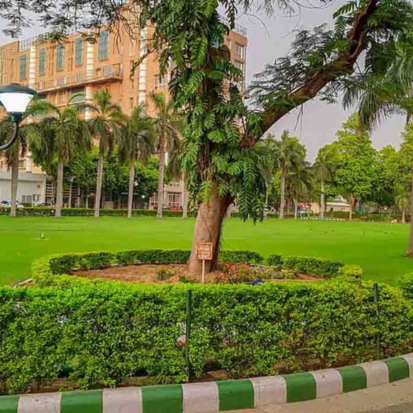 All India Institute of Medical Sciences, Delhi