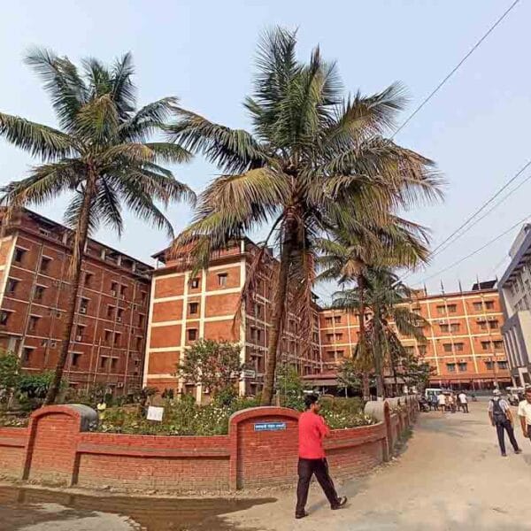 College of Medical Sciences 