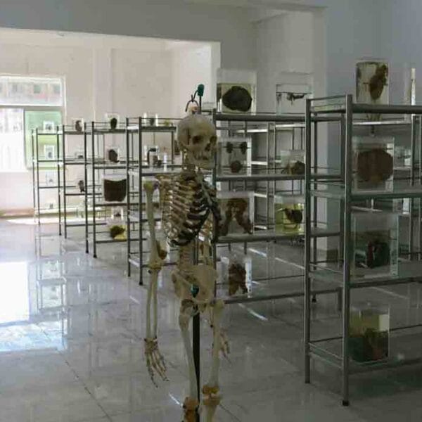 Madhubani Medical College & Hospital