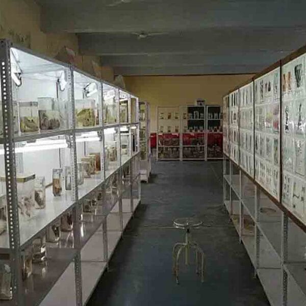 RD Gardi Medical College, Ujjain