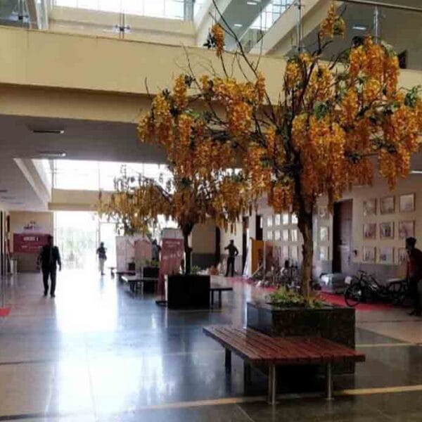 Galgotias University