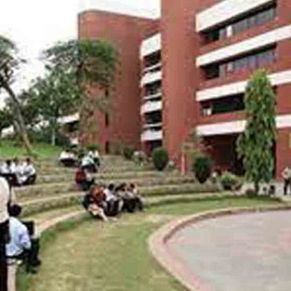 International Management Institute