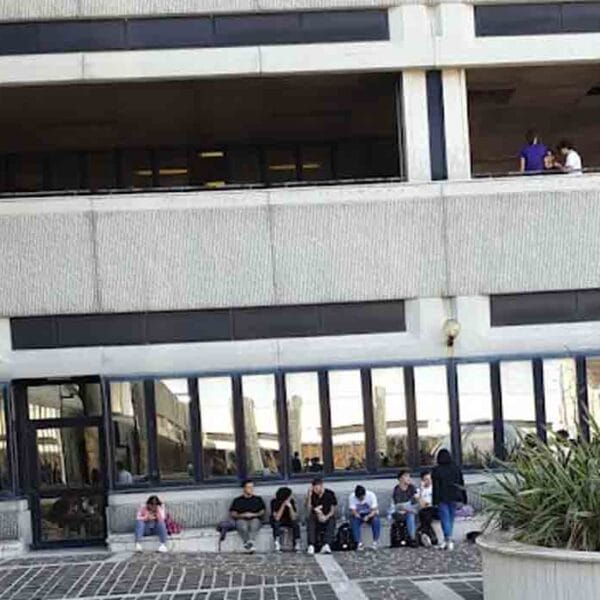 Marche Polytechnic University