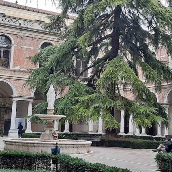 University of Padova