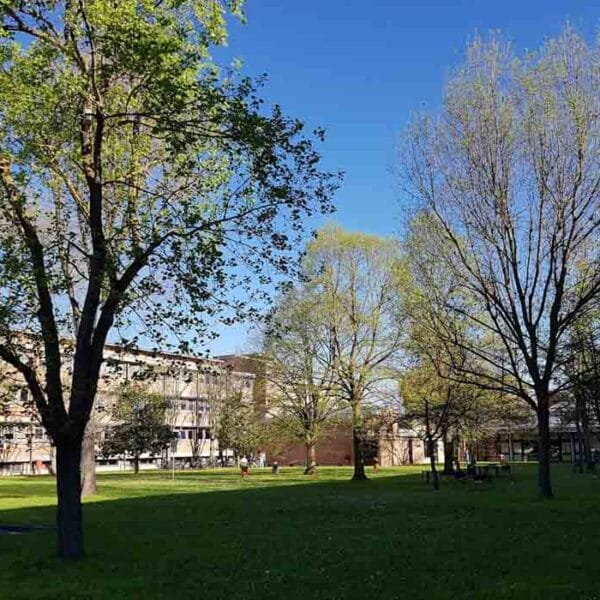 University of Ferrara