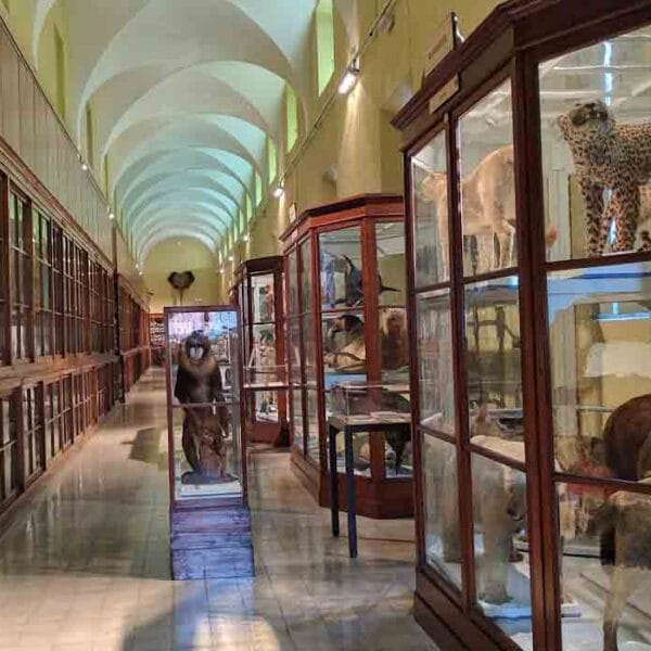 University of Parma