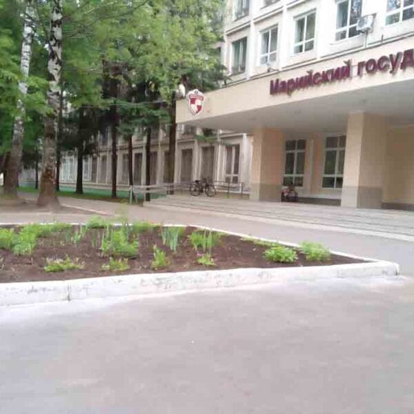 Mari State University