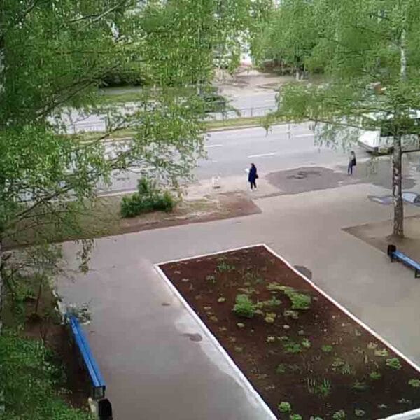 Mari State University