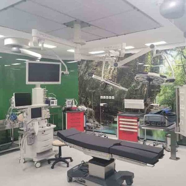 Georgian National University SEU