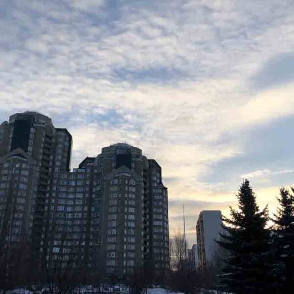 Pirogov Russian National Research Medical University