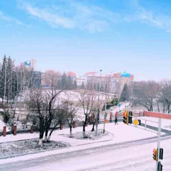 North Kazakhstan State University