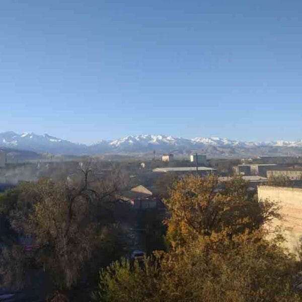 International School of Medicine