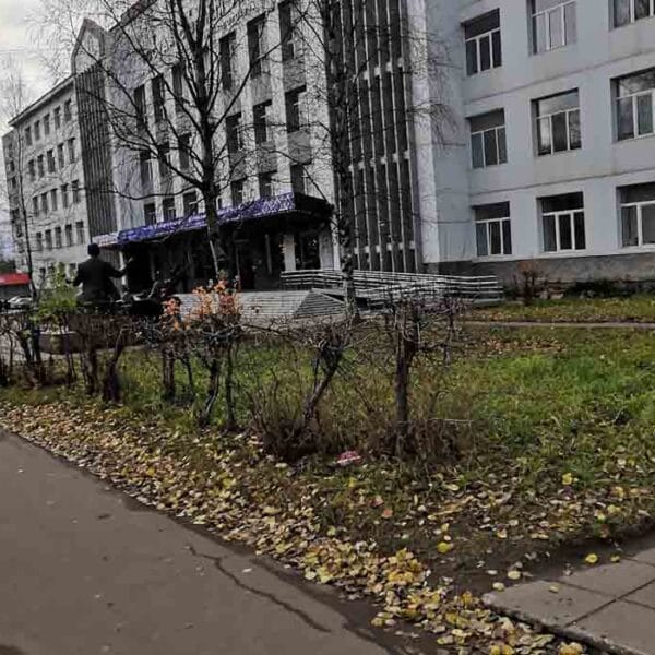 Syktyvkar State University