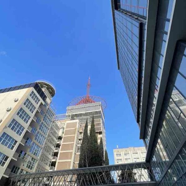 Georgian National University SEU