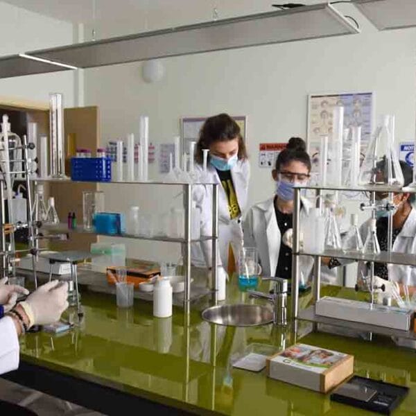 Georgian National University SEU