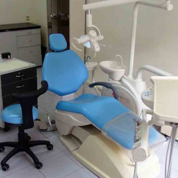 Grigol Robakidze University