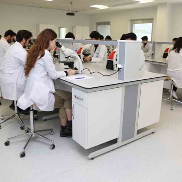 BAU International University Batumi