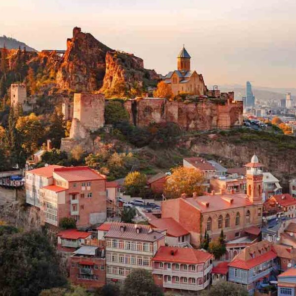 Tbilisi Medical University 'Hippocrates'