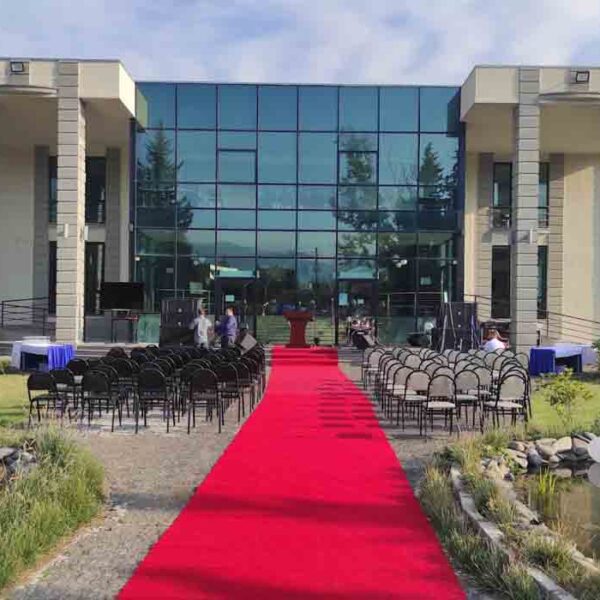 Grigol Robakidze University