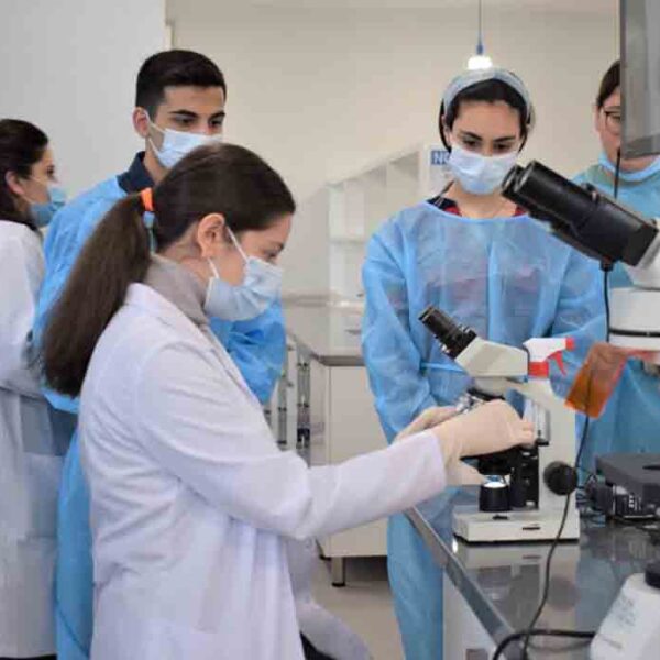 Tbilisi Medical University 'Hippocrates'