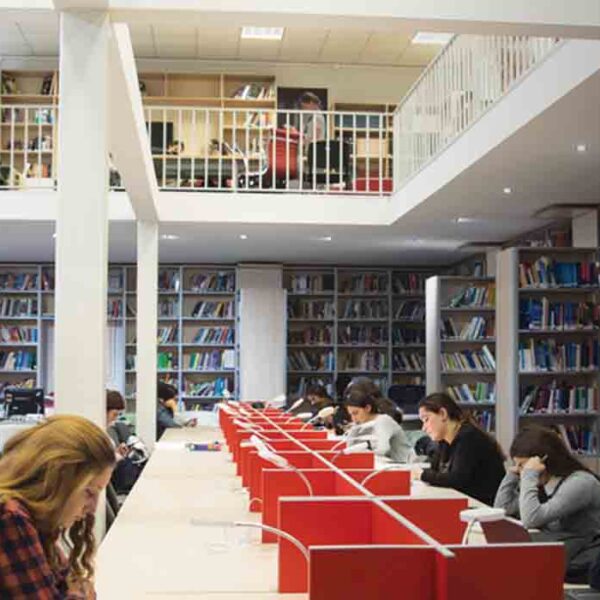 Ilia State University