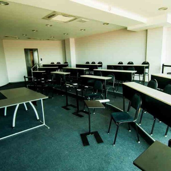 Grigol Robakidze University