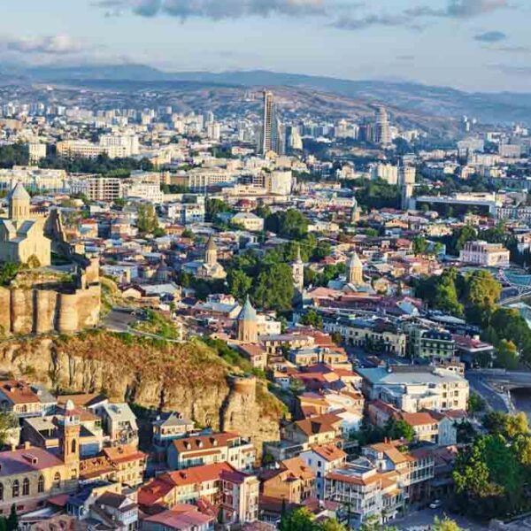 Ilia State University