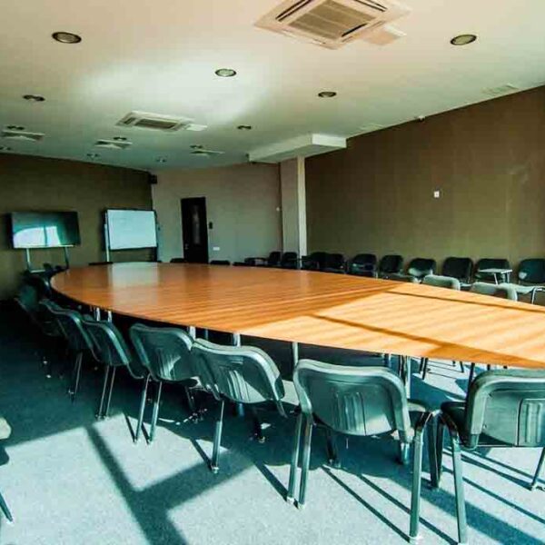 Grigol Robakidze University