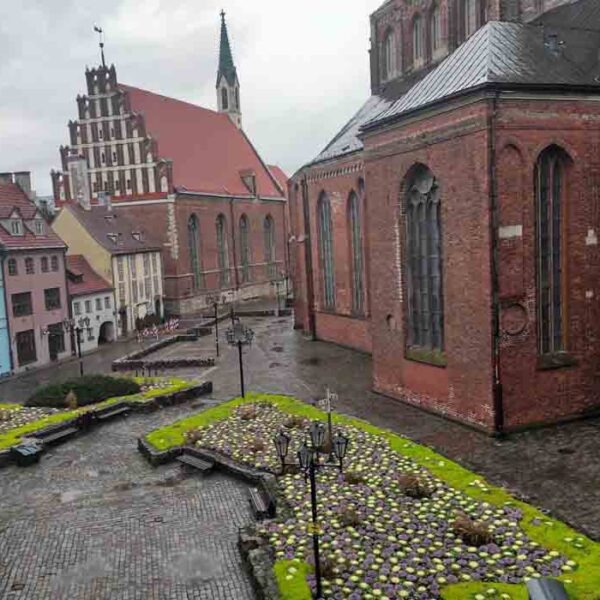 Riga Stradins University