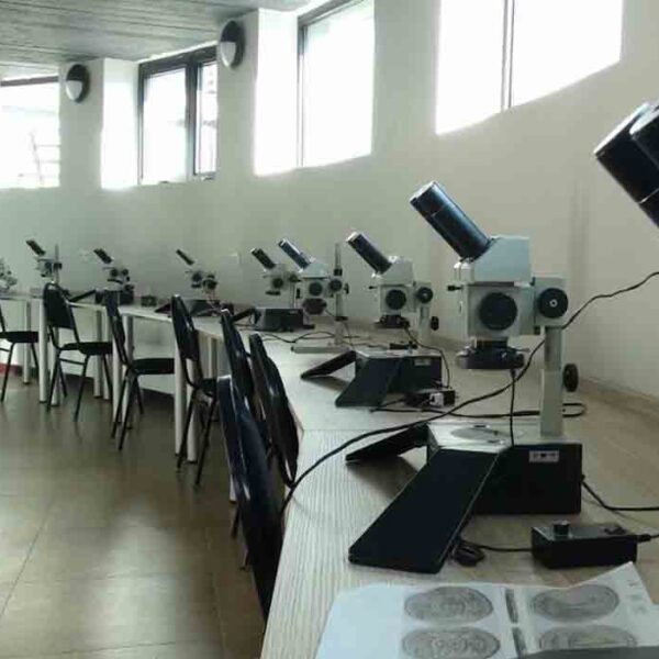 Grigol Robakidze University