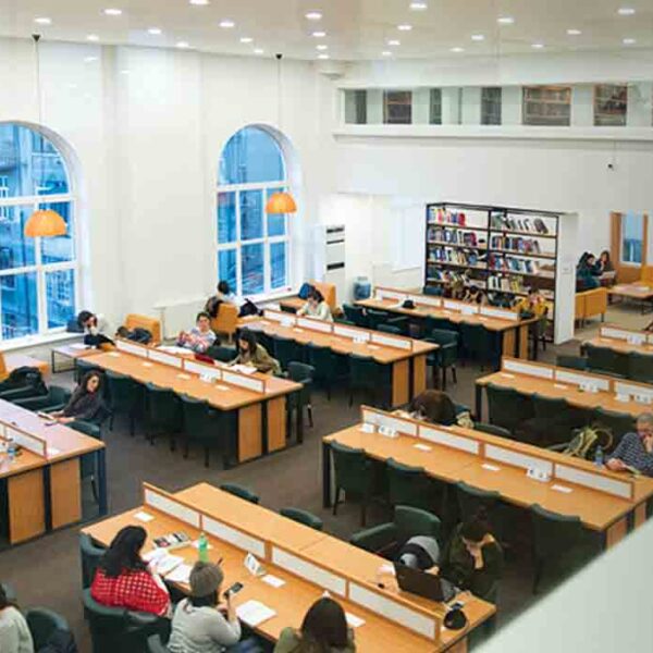 Ilia State University