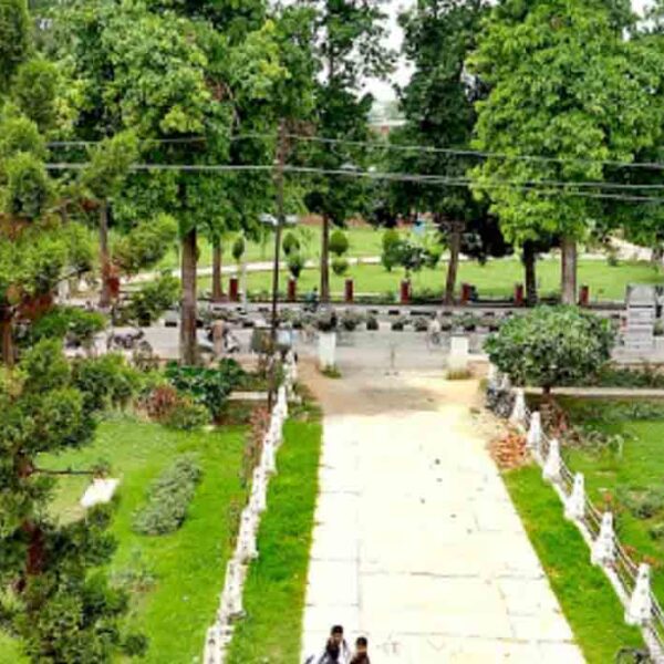 Aligarh Muslim University (Dental)