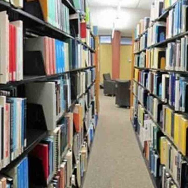 DP Institute of Professional Studies, Moradabad