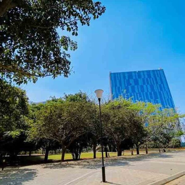 Yenepoya University (Paramedical)