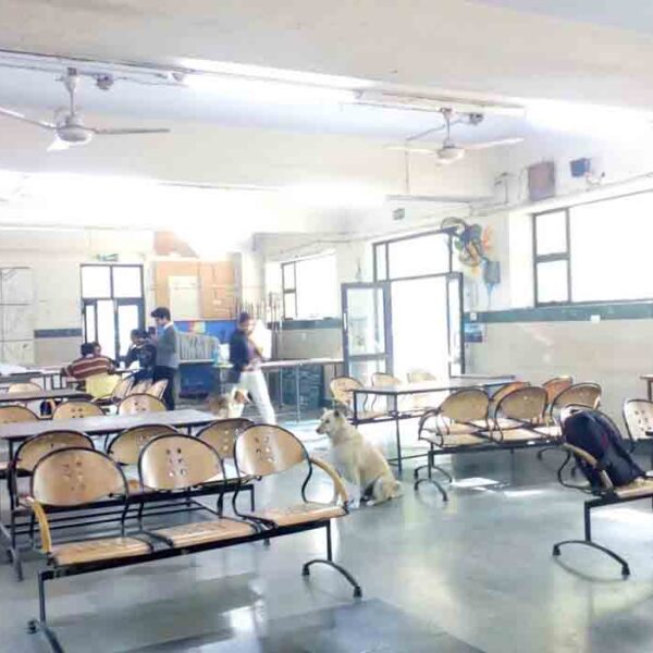 School of Planning and Architecture New Delhi